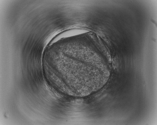 X0000098160196200805151237