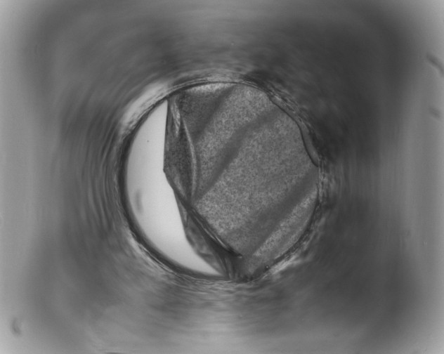 X0000098160197200805151237