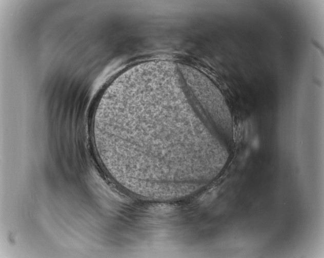 X0000098160198200805151237