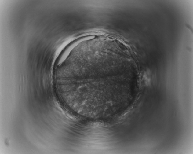 X0000098160200200805151237