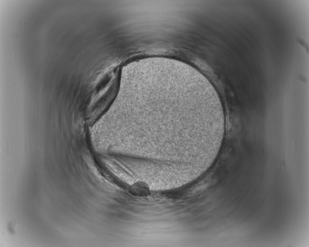 X0000098160201200805151237