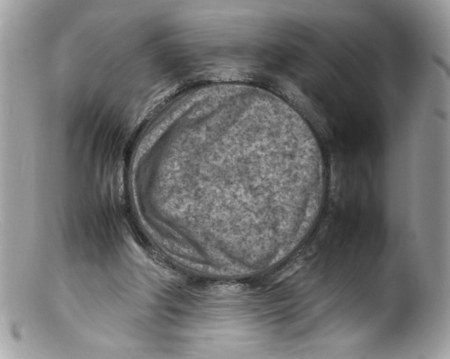 X0000098160202200805151237