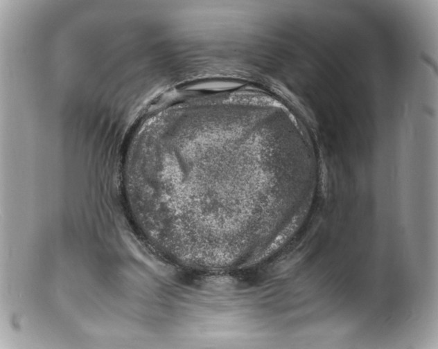 X0000098160203200805151237