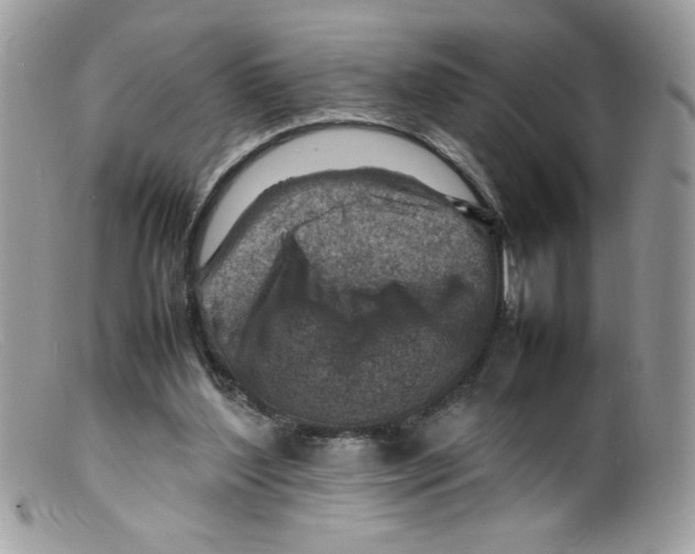 X0000098160204200805151237