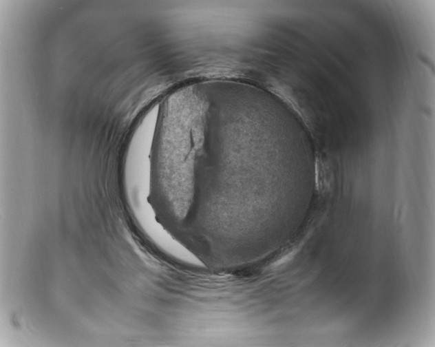 X0000098160205200805151237