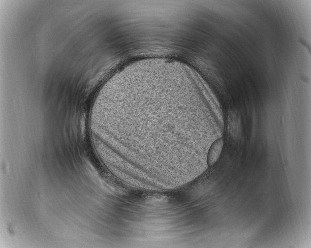 X0000098160206200805151237