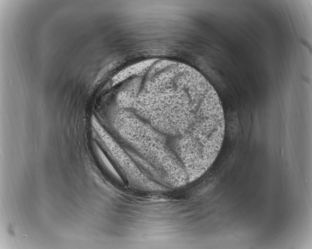 X0000098160207200805151237