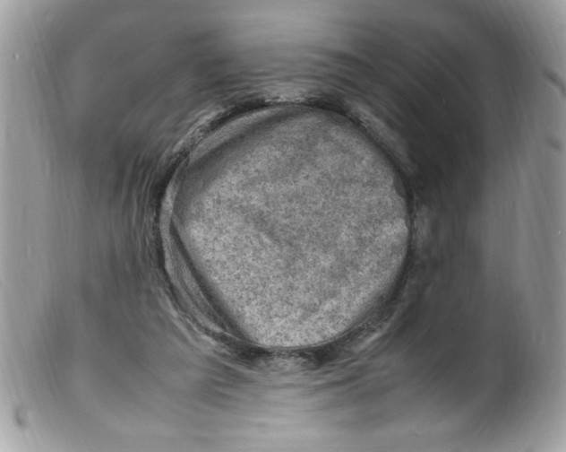 X0000098160209200805151237