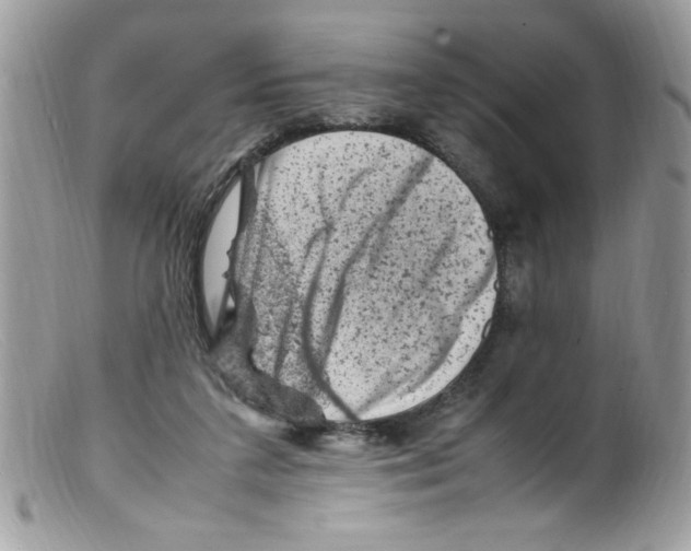 X0000098160211200805151237
