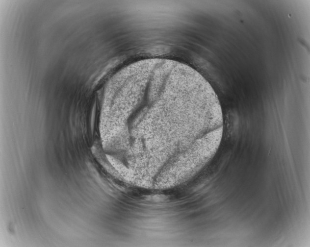 X0000098160212200805151237