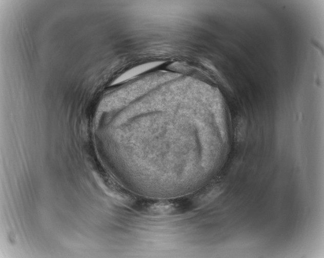 X0000098160213200805151237