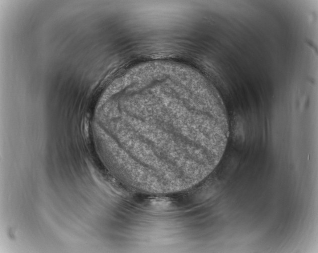 X0000098160214200805151236