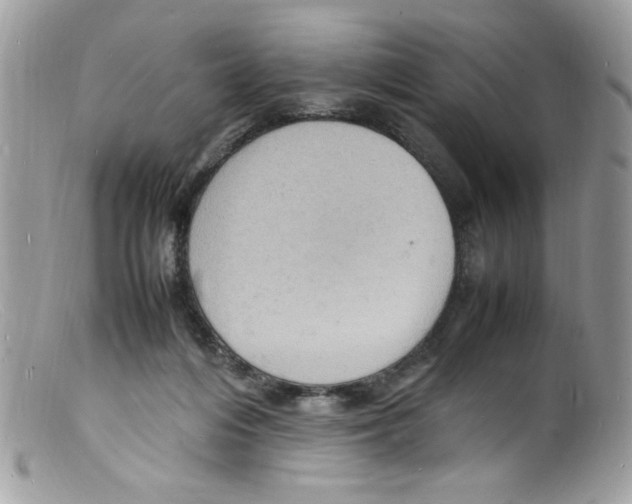 X0000098160216200805151236