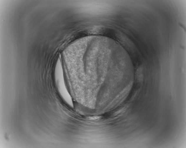 X0000098160217200805151236