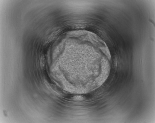 X0000098160218200805151236