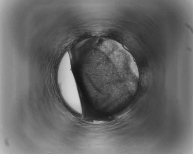 X0000098160219200805151236
