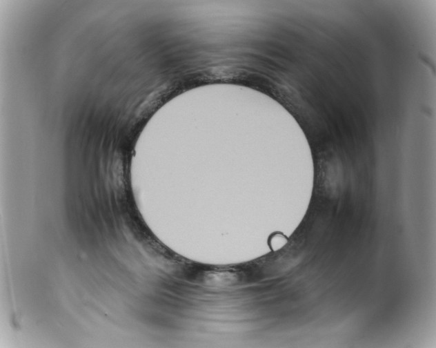 X0000098160220200805151236
