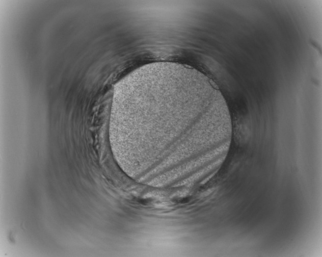 X0000098160221200805151236