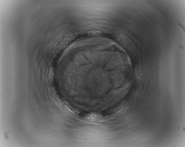 X0000098160223200805151236