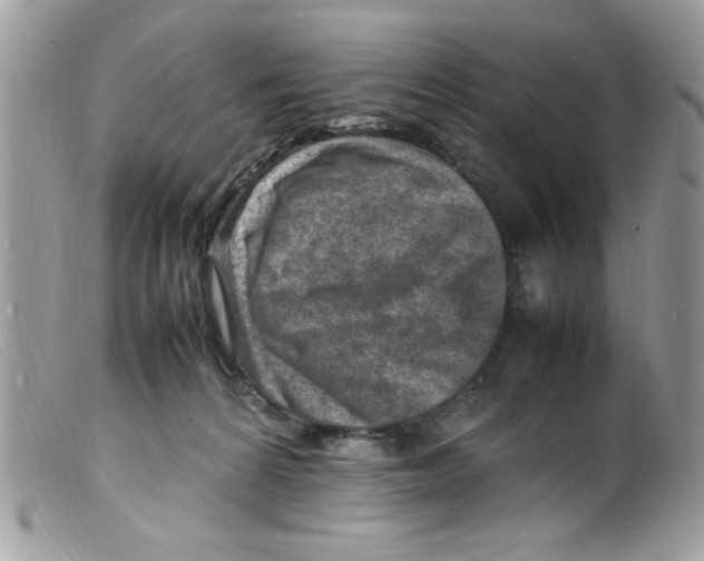X0000098160224200805151236