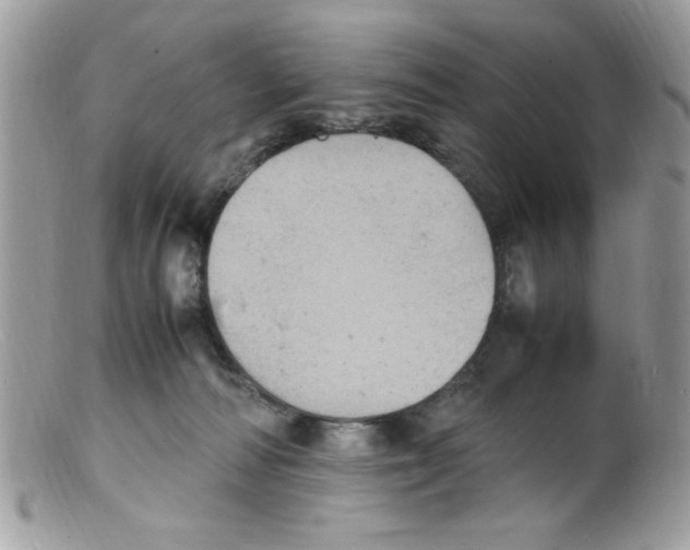 X0000098160226200805151236