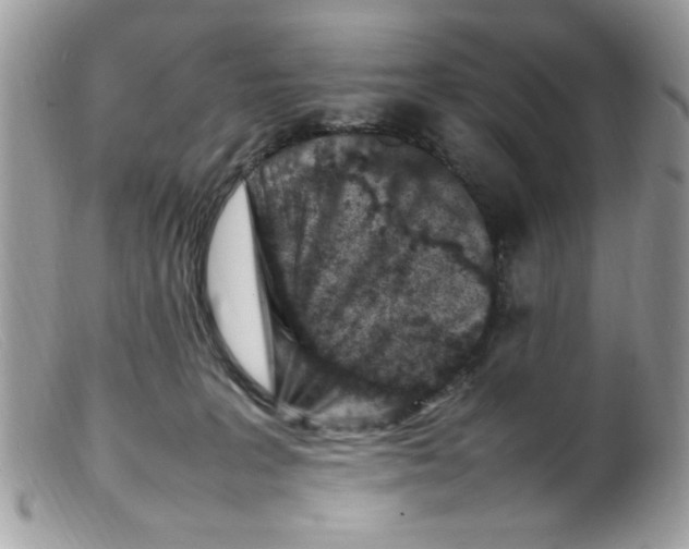 X0000098160227200805151236
