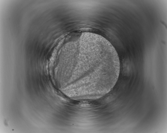X0000098160228200805151236
