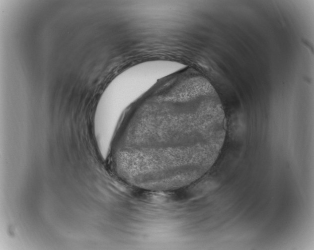 X0000098160229200805151236