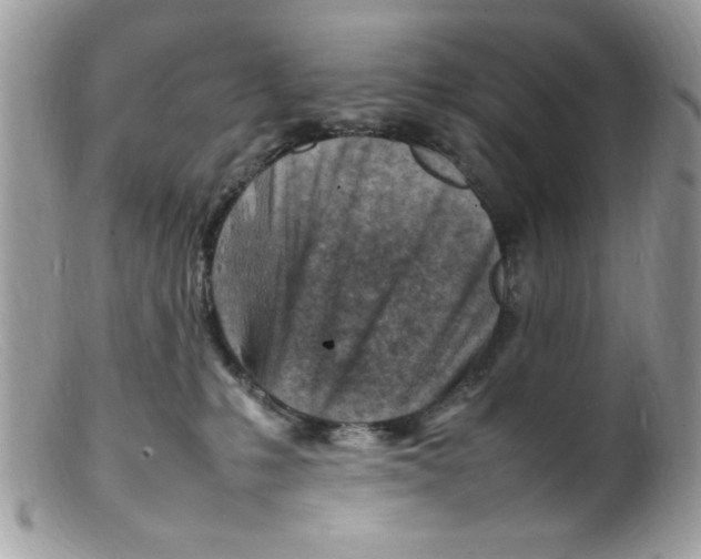 X0000098160231200805151236