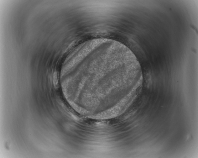 X0000098160232200805151236