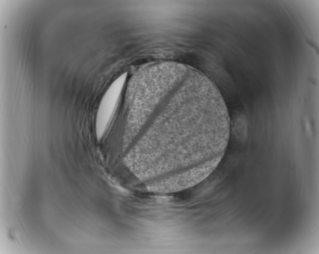 X0000098160233200805151236