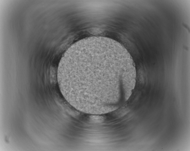 X0000098160234200805151236