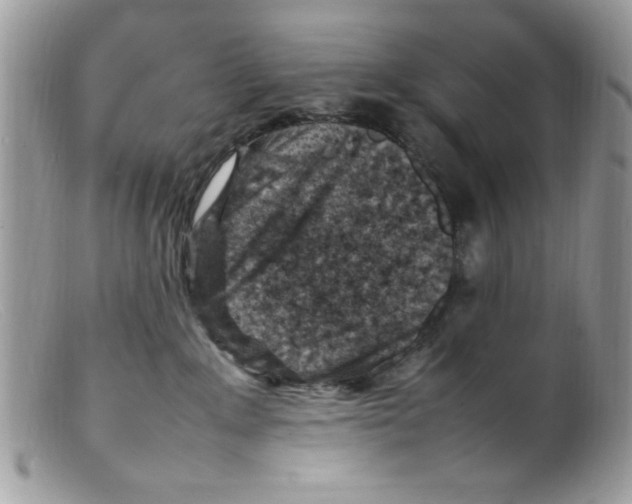X0000098160235200805151236