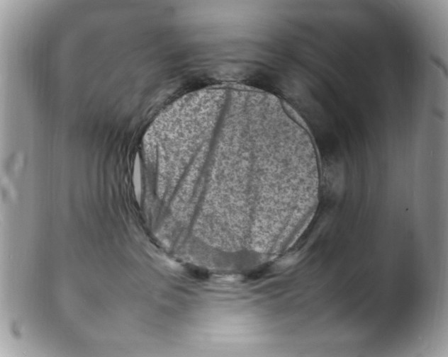 X0000098160237200805151236