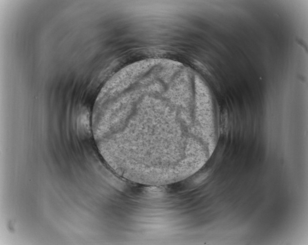 X0000098160238200805151236
