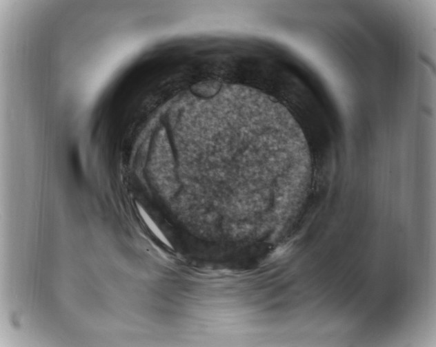 X0000098160239200805151236