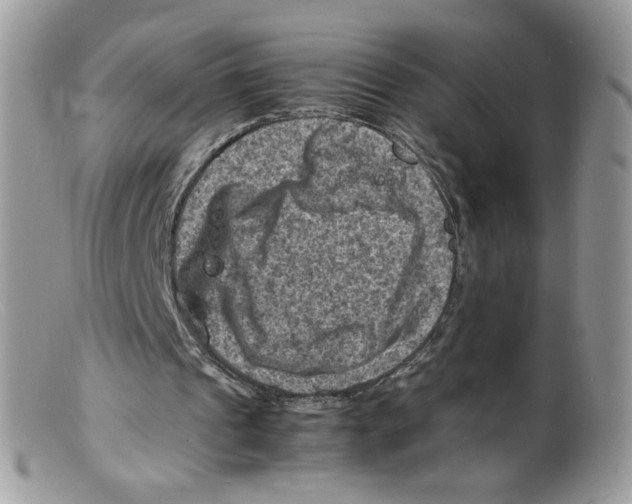X0000098160241200805151235