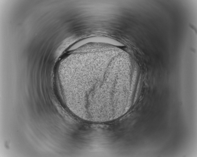 X0000098160242200805151235