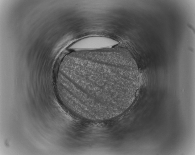 X0000098160243200805151235