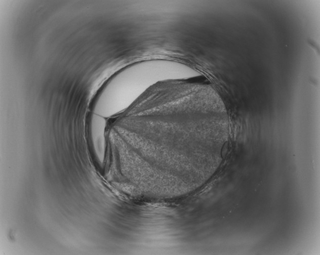 X0000098160244200805151235