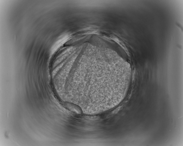 X0000098160245200805151236