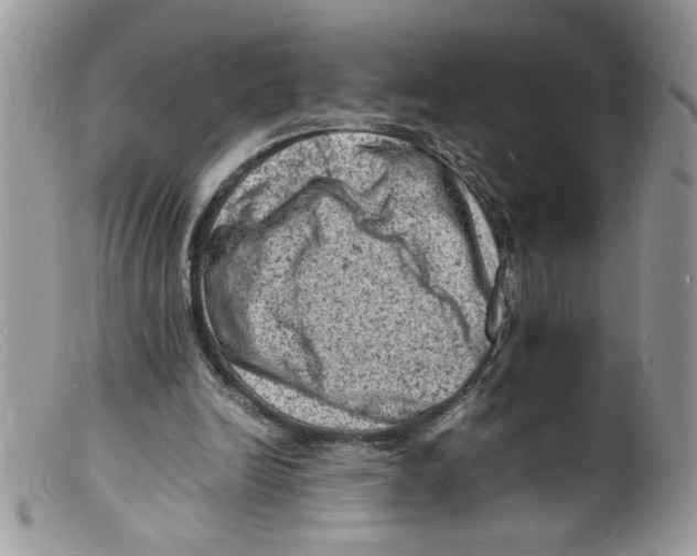 X0000098160246200805151236