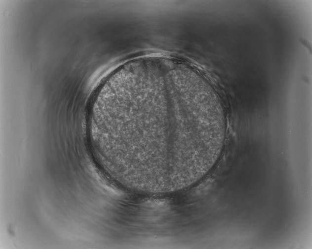 X0000098160247200805151236