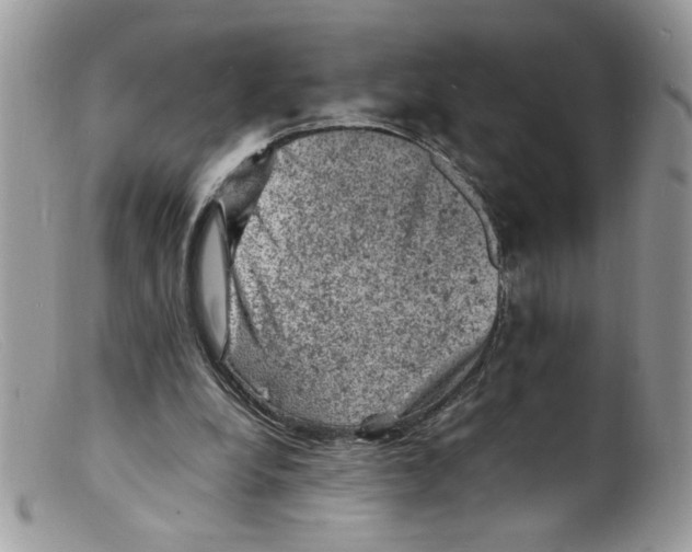 X0000098160248200805151236
