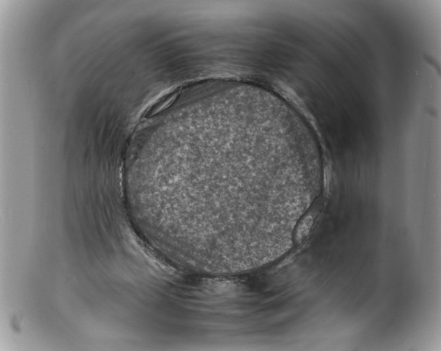 X0000098160249200805151236