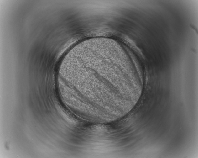X0000098160250200805151236
