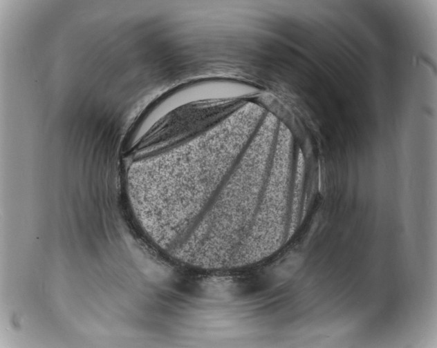 X0000098160252200805151236