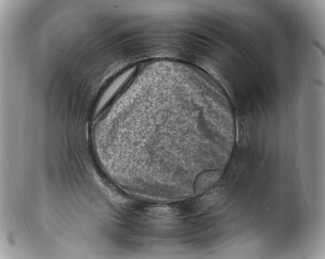 X0000098160253200805151236