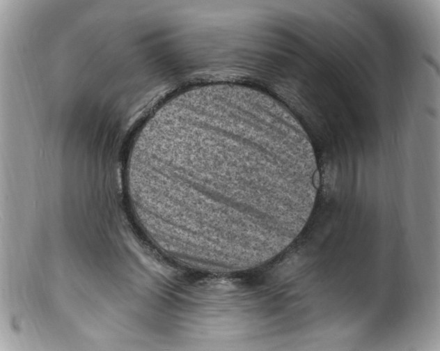 X0000098160254200805151236