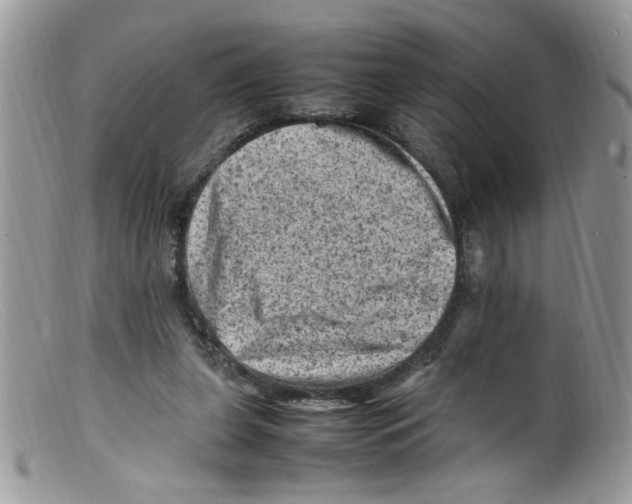 X0000098160255200805151236